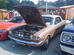 Big Bumper Meet 2010